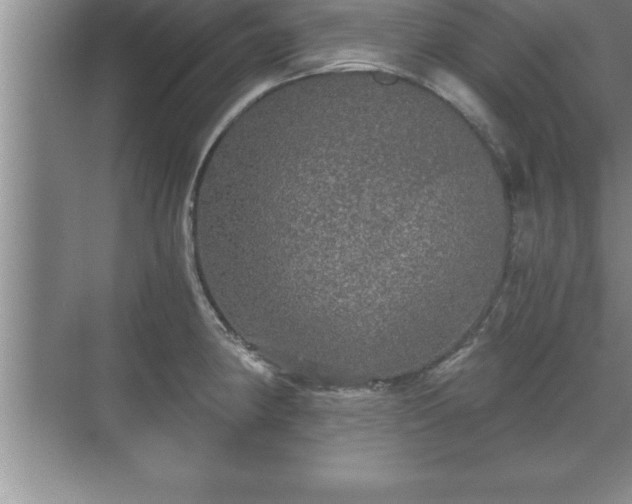 X0000071331190200606301553