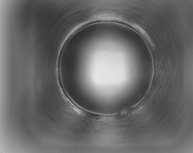 X0000071331191200606301552