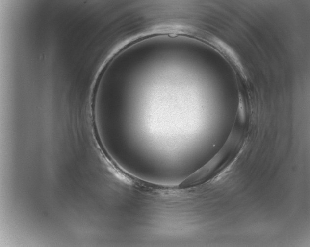 X0000071331192200606301552