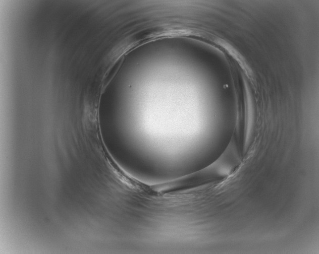 X0000071331193200606301552