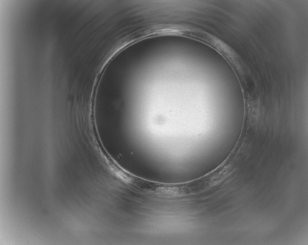 X0000071331194200606301552