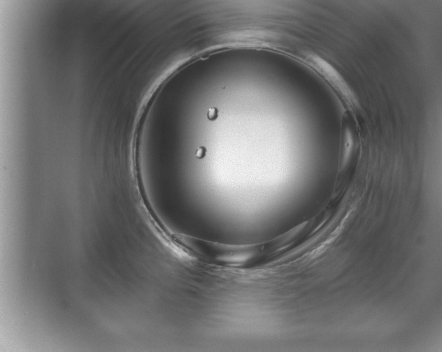 X0000071331196200606301552