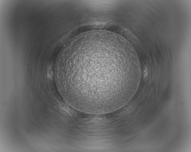 X0000071331204200606301552