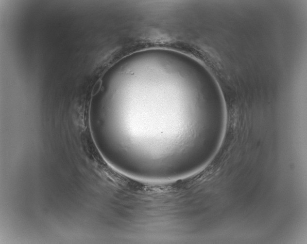 X0000071331205200606301552