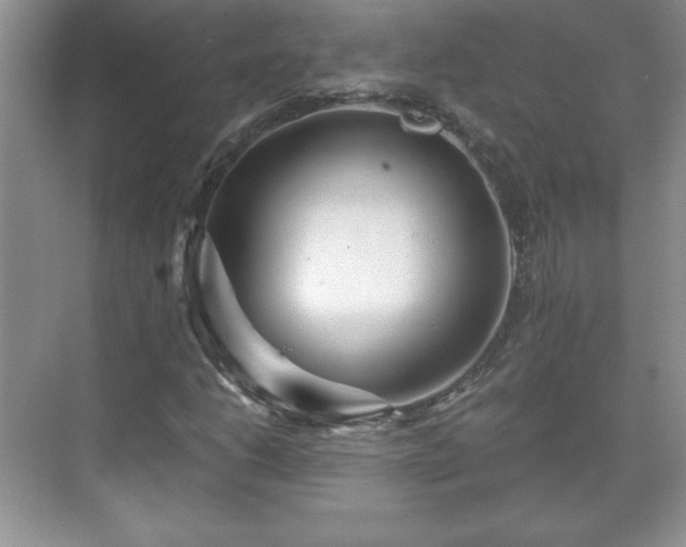 X0000071331206200606301552