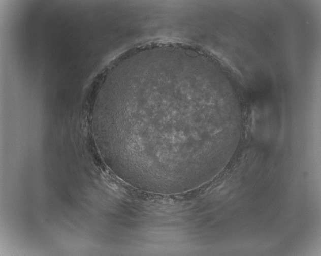 X0000071331207200606301552