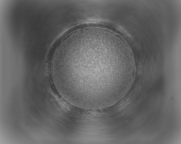 X0000071331208200606301552