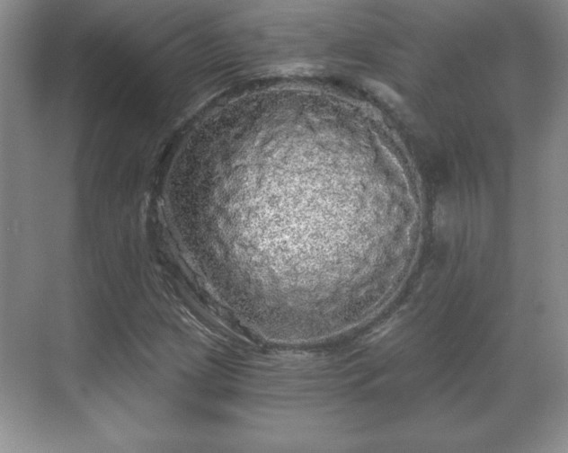 X0000071331209200606301552