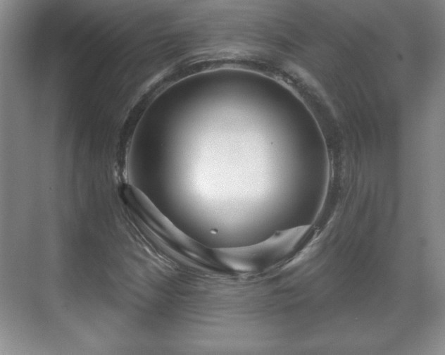 X0000071331210200606301552