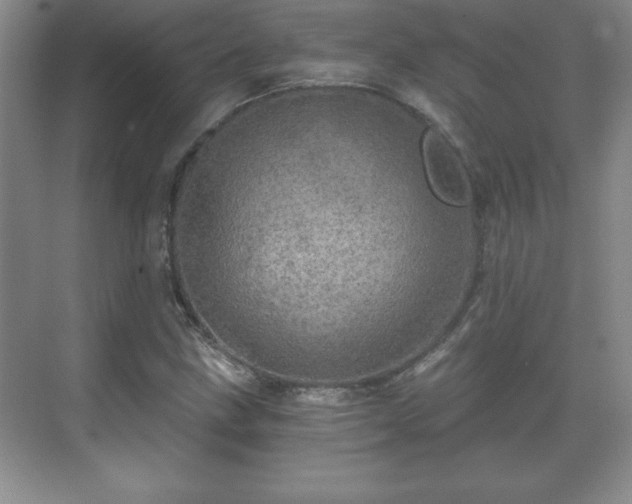 X0000071331211200606301552