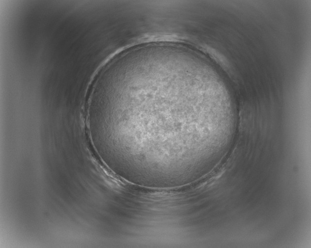 X0000071331212200606301552