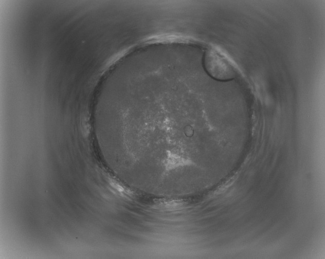 X0000071331213200606301552