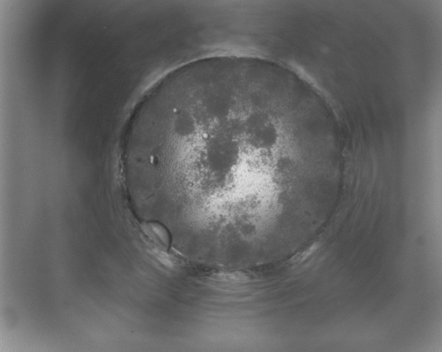 X0000071331215200606301552