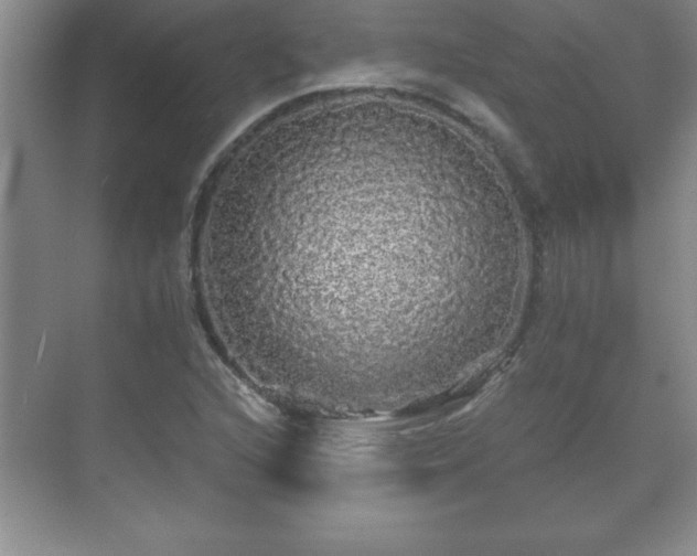 X0000071331216200606301552