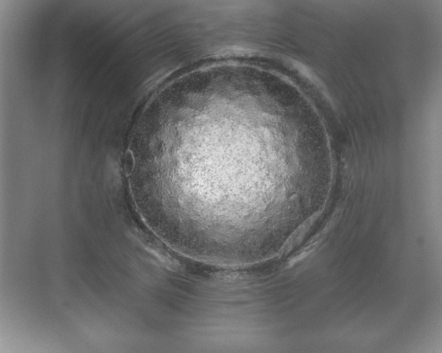 X0000071331217200606301552