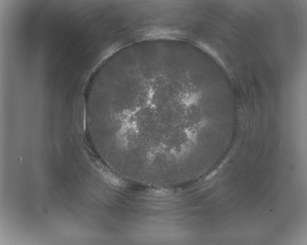 X0000071331219200606301552