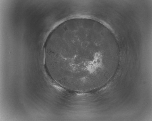 X0000071331223200606301552