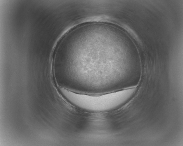 X0000071331224200606301552