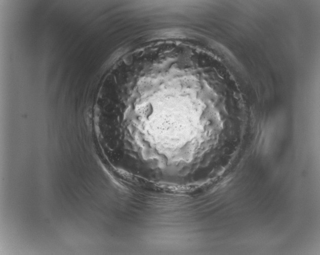 X0000071331225200606301552