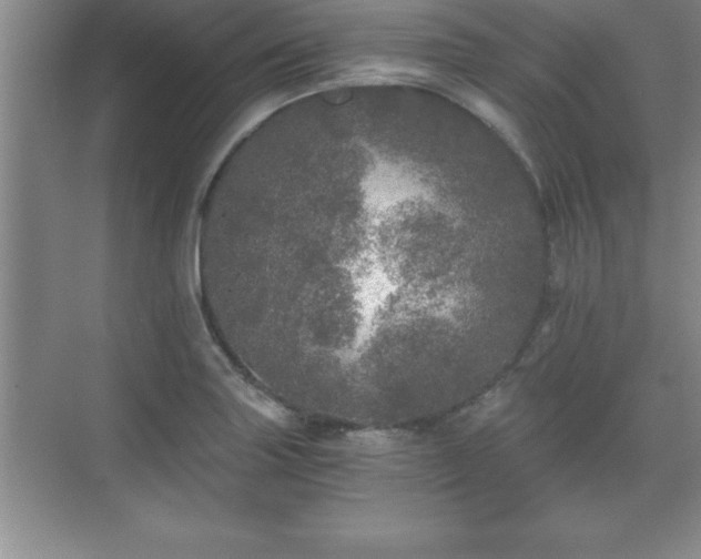 X0000071331227200606301552