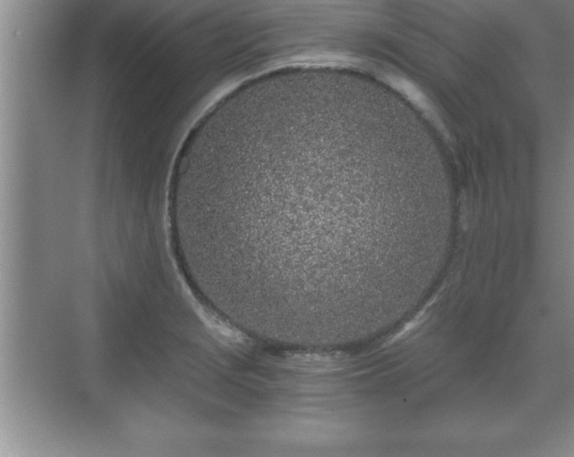 X0000071331229200606301552