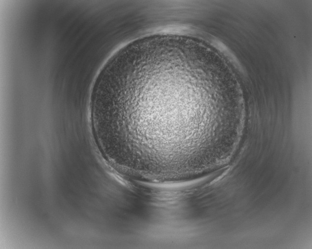 X0000071331232200606301552