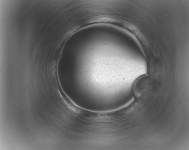 X0000071331233200606301552