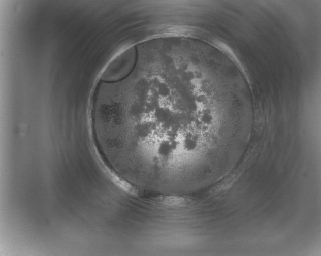 X0000071331235200606301552