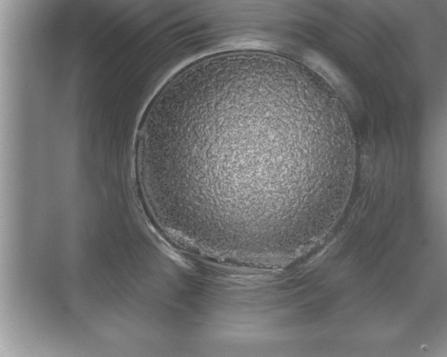 X0000071331236200606301552