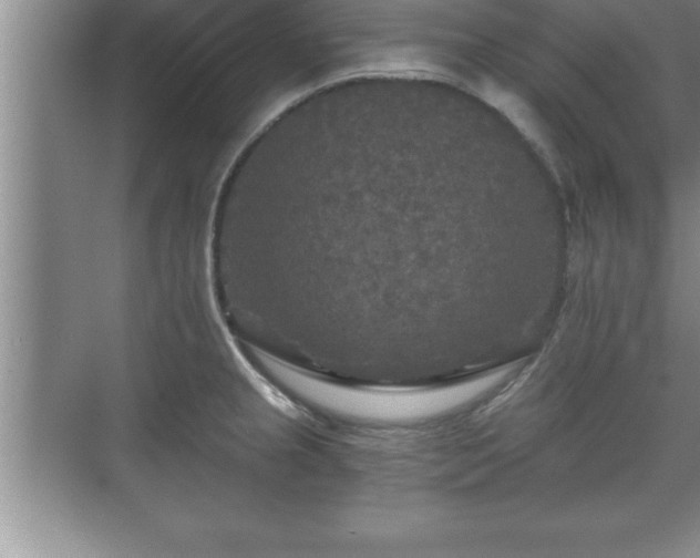 X0000071331237200606301552