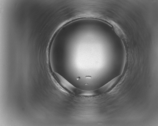 X0000071331238200606301552