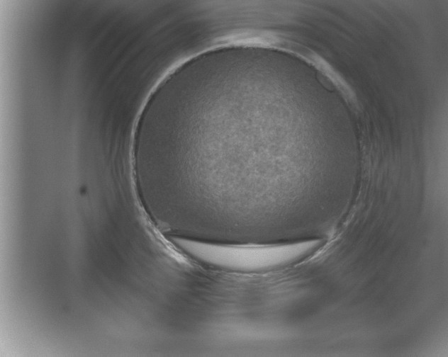 X0000071331240200606301552