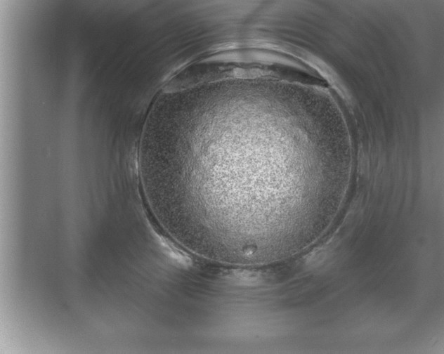 X0000071331241200606301552