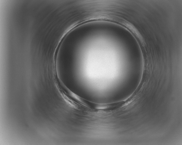 X0000071331242200606301552