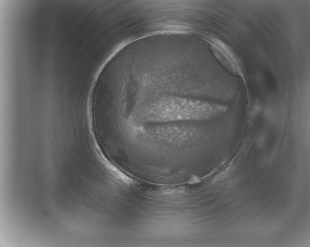 X0000071331243200606301552