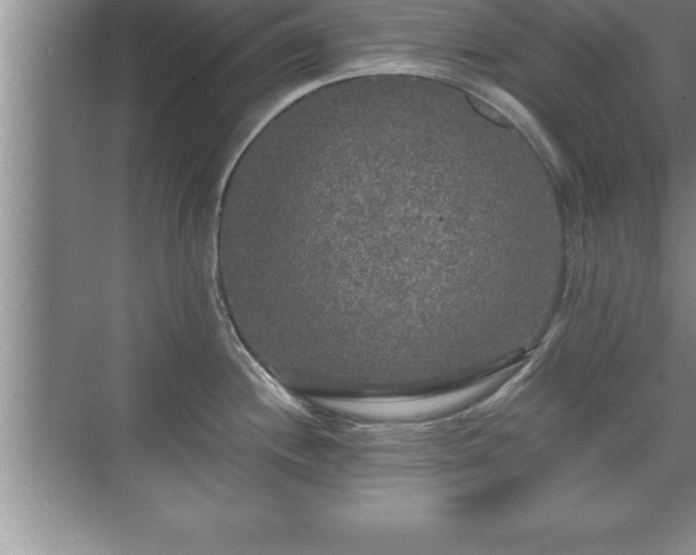 X0000071331244200606301552