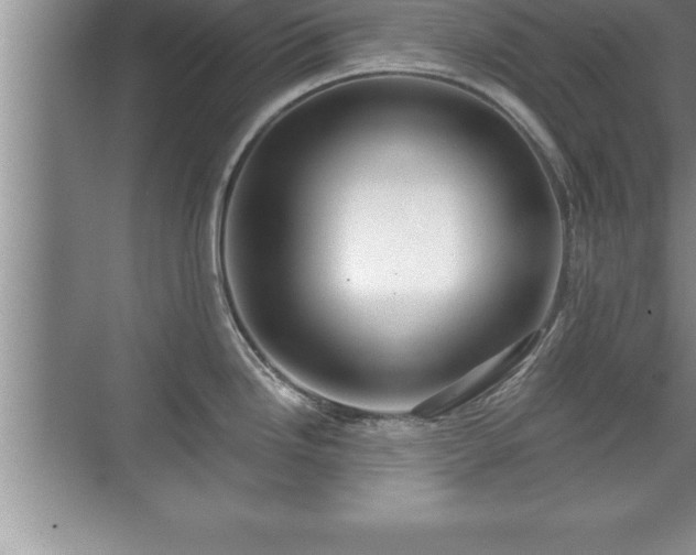 X0000071331246200606301552