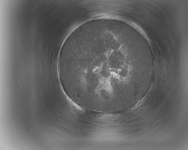 X0000071331247200606301552