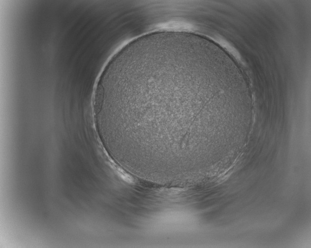 X0000071331248200606301552