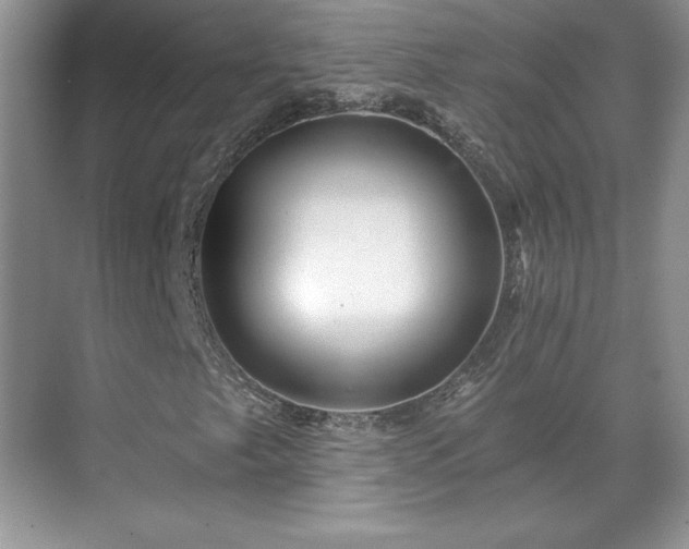 X0000071331249200606301552