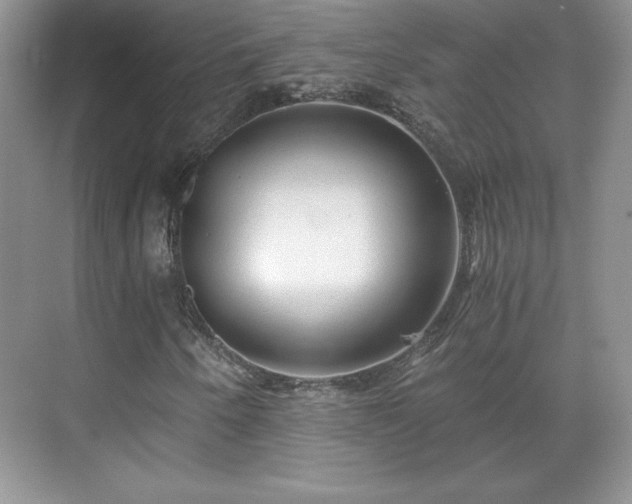 X0000071331250200606301552