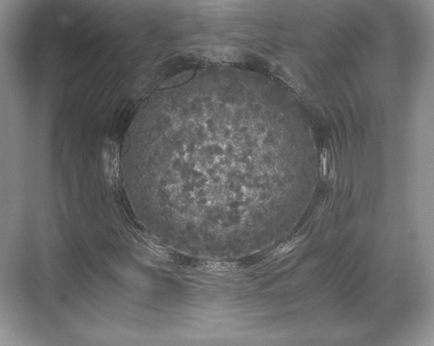 X0000071331251200606301551