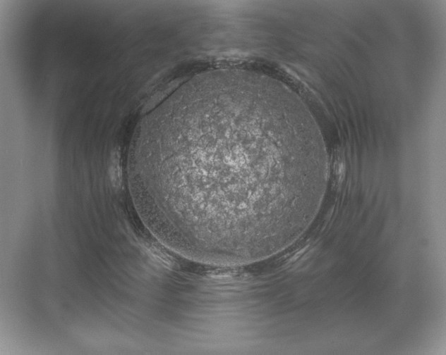 X0000071331252200606301551