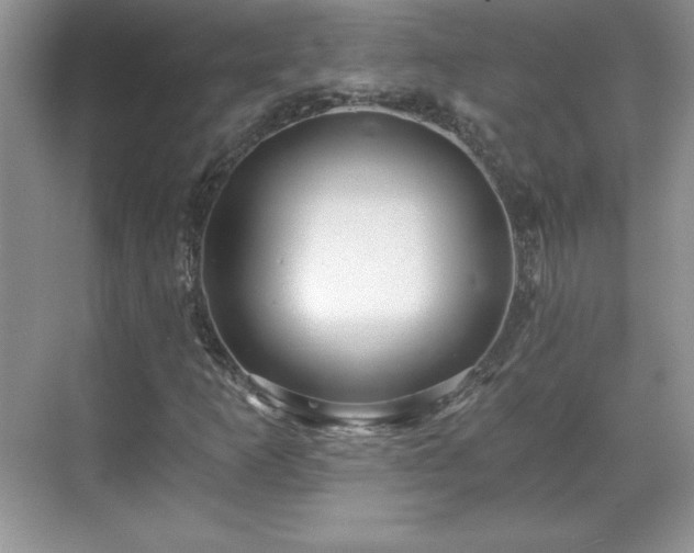 X0000071331253200606301551