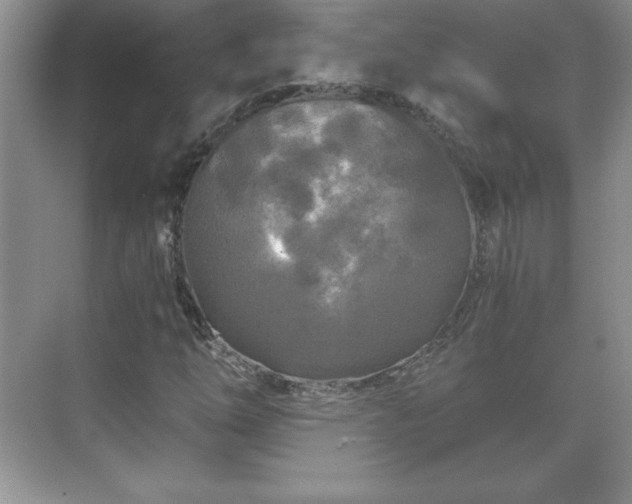 X0000071331254200606301551