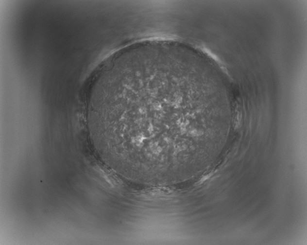 X0000071331255200606301551