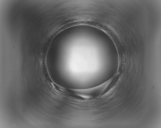 X0000071331257200606301551