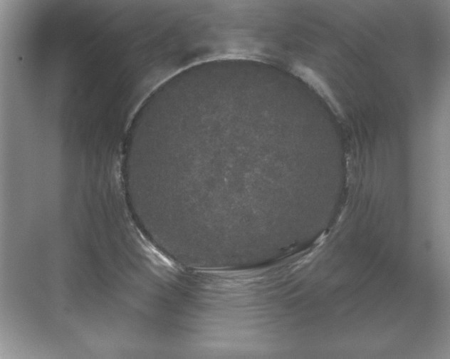 X0000071331260200606301551