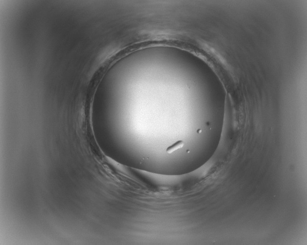 X0000071331261200606301551