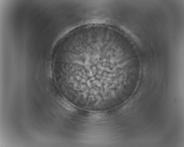 X0000071331262200606301551